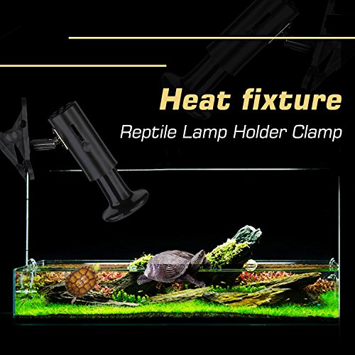 Infrared Ceramic Heat Lamp 50W 2-Pack â€